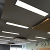 Pintar solo techo en oficina (100m)
