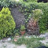 Otros Trabajos De Jardinería