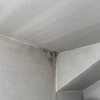 Impermeabilización Parcial Vivienda O Local