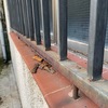 Instalar Rejas