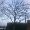 Otros Trabajos De Jardinería