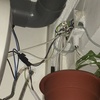 Reformar Instalación Eléctrica Vivienda o Local