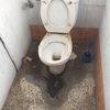 Limpieza de Obra