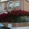 Instalacion de Antena
