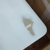 Lacar Muebles