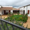 Hacer puesta a punto de jardín