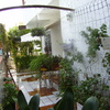 Estudio estado vivienda en moncada (valencia)