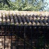 Limpieza de Cubierta de Teja Curva