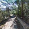 Desbrozar Jardín