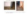 Reforma Vivienda