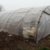Otros Trabajos De Jardinería