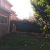 Plantar Cesped
