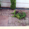 Poner Tarima Exterior