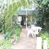 Mantenimiento puntual de jardín (poda y transplantes)