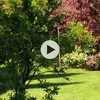 Mantener Jardín