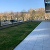 Diseño jardín, instalación ocultación en vitoria