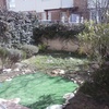 Instalar sistemas de riego, poner césped y arreglar un jardin pequeño