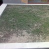 Planche en Jardin 12 m2