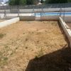 Realizar puesta a punto de jardín