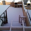 Plantar cesped. 50 m2