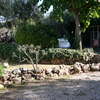 Mantenimiento regular jardin