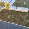 Cesped Artificial