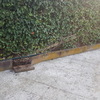 Rehacer escalera acceso zona piscina y jardinera