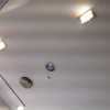 Cambio de bombillas downlight