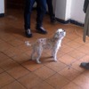 Poner Suelo y Tirar Pared
