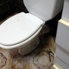 Cambio de Sanitario