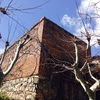 Reforma tejado