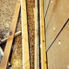 Reparar Carpintería