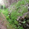 Reavilitar muro de piedra