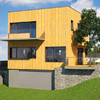 Proyecto casa de madera en la floresta