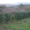 Mantenimiento finca en abegondo