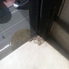 Marmoles biblioteca