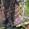 Construir Muro