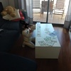 Pequeños Trabajos Cristaleros