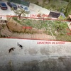 Construir Muro Hormigón