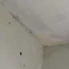 Reparar bajantes