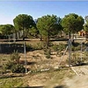 Construcción de Casa