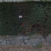 Construir Muro Piedra