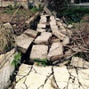 Ppto apilar piedra muro caído y colocar alambrada, o bien levantar el muro depende coste cada opción