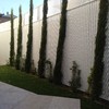 Mantener Jardín