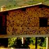 Proyecto y Construcción Casa