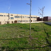 Diseñar Jardín