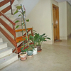 Pequeña Reforma Vivienda
