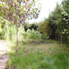Desbroce manual de jardin de 1100 m2