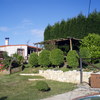 Poda de Tuyas