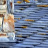 Arreglar algunas tejas de pizarra sueltas y antes hechar algunos productos para matar ratas que se han metido en huecos
